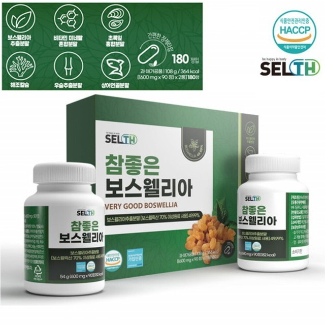 초록상어 이미지