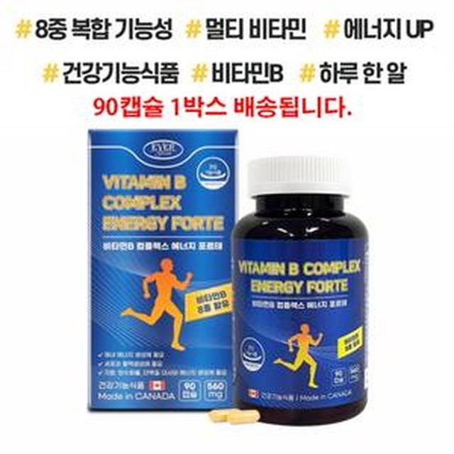 에버그린 이미지