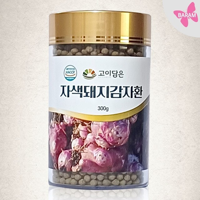 자색 이미지
