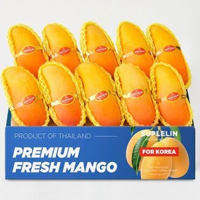 망고 이미지