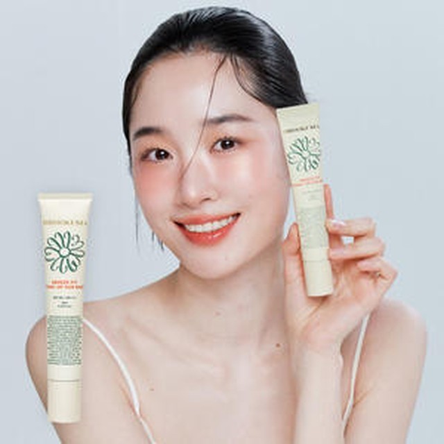브리즈 이미지