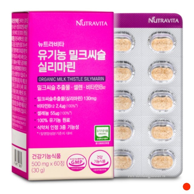 비타 이미지