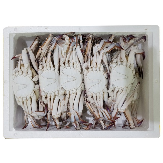 조은상사 이미지