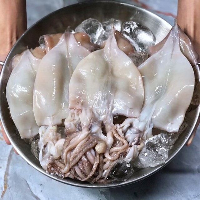 오징어야 이미지