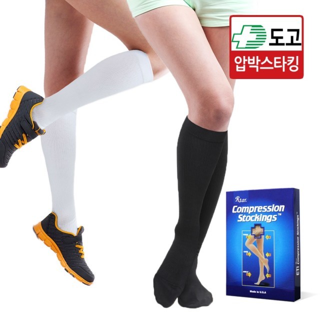 렉스타 이미지