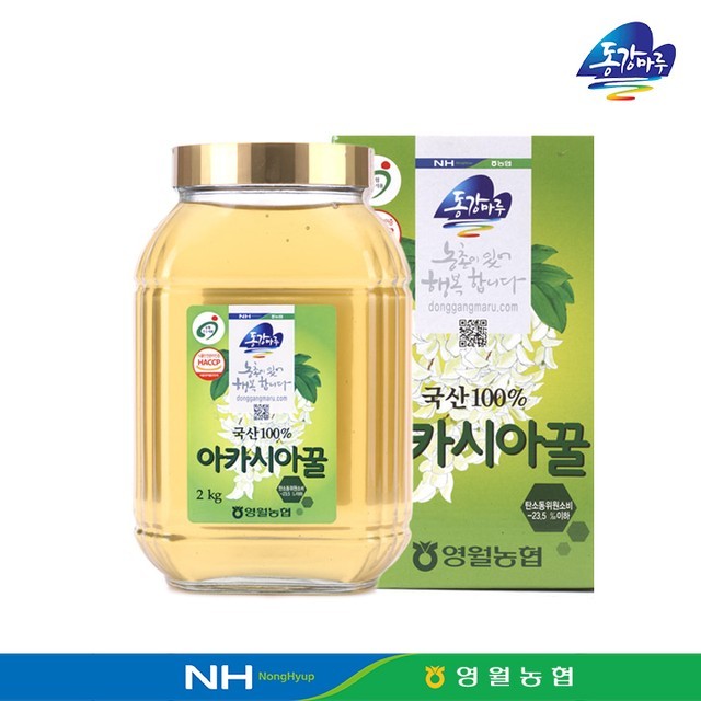 마루랑 이미지