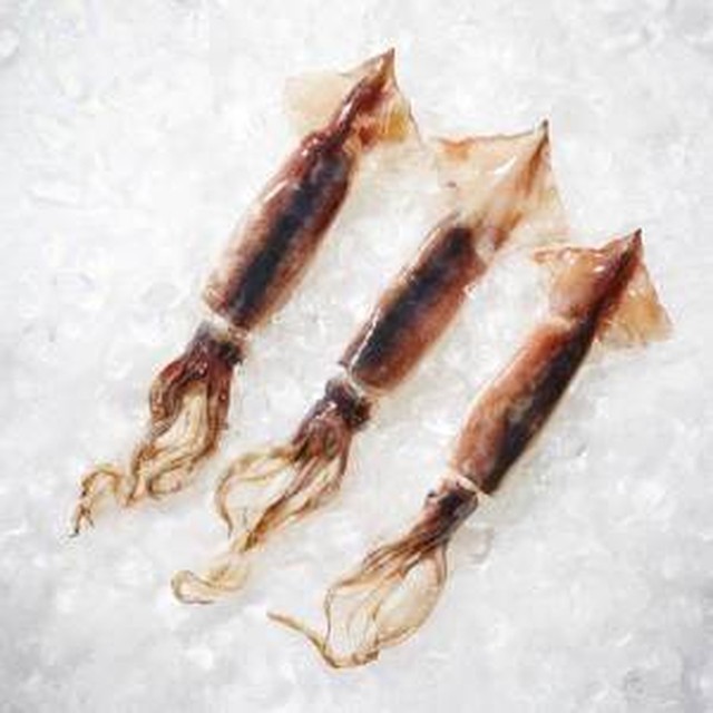 오징어야 이미지