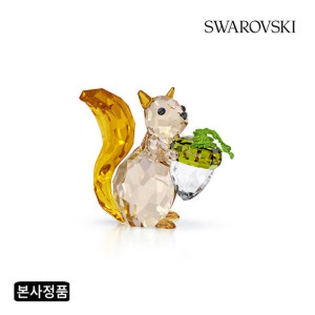 스쿼럴 이미지