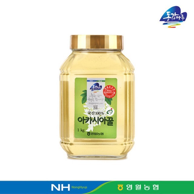 마루랑 이미지