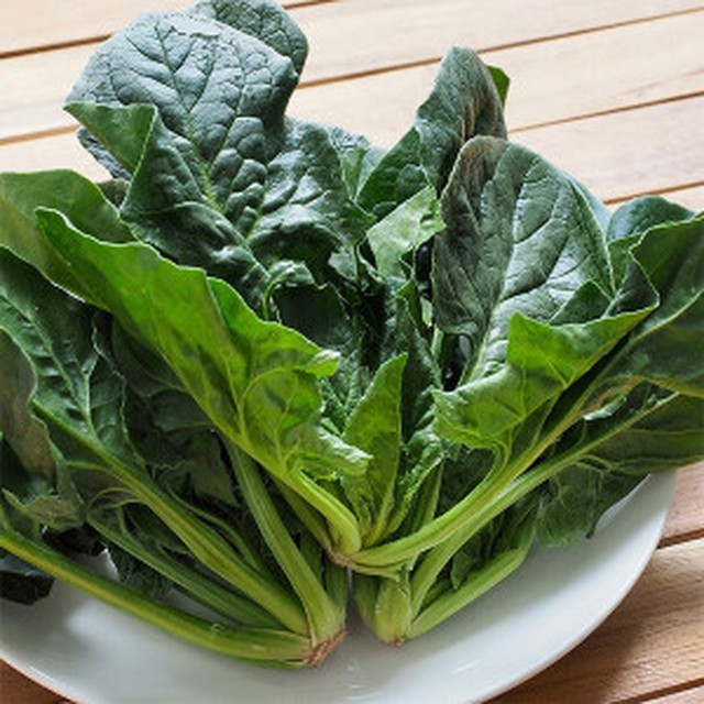 맛남 이미지