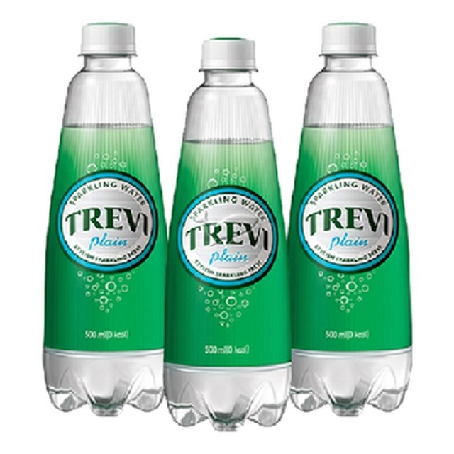 트레비 이미지