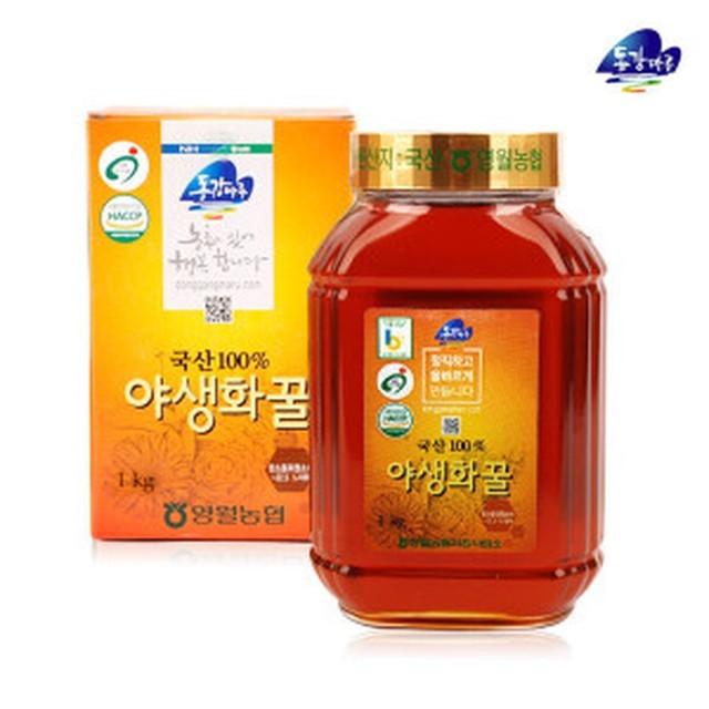 마루랑 이미지