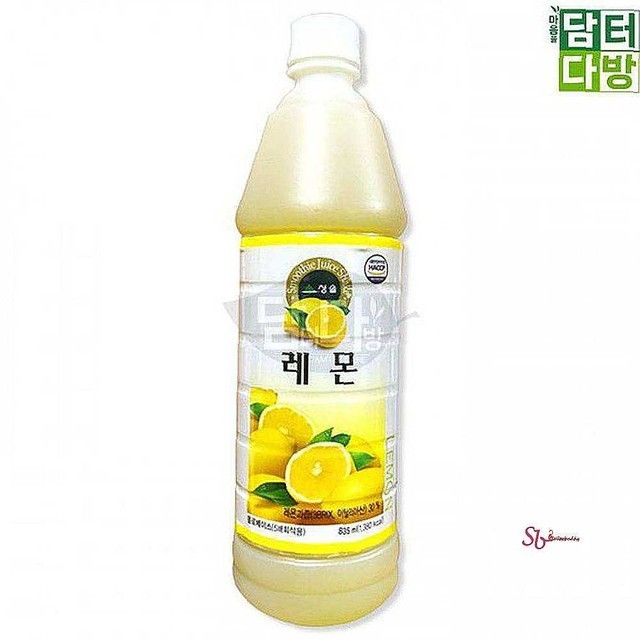 청솔 이미지