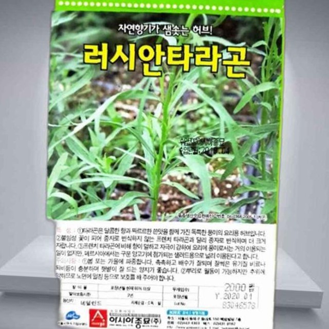 씨앗 이미지