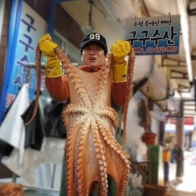 구구수산 이미지