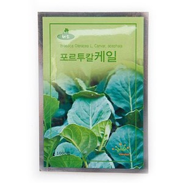 씨앗 이미지