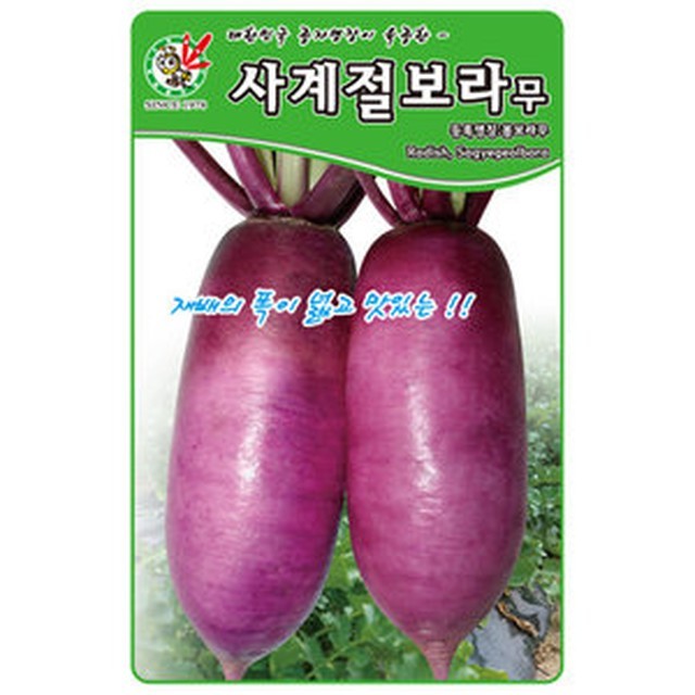 씨앗 이미지