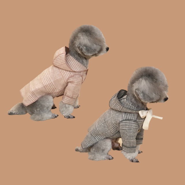 코코리본 이미지