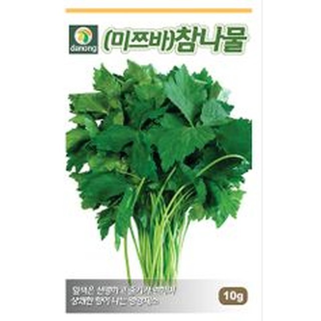 씨앗 이미지