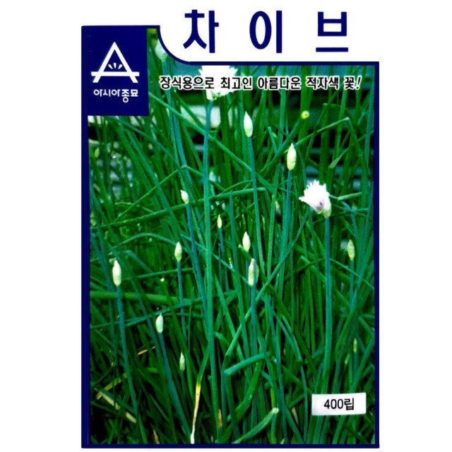 샐러립 이미지