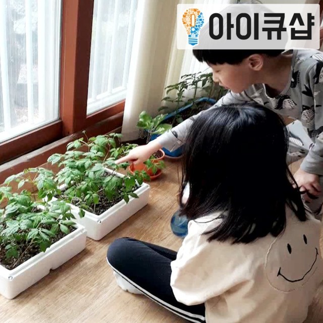 청해담 이미지