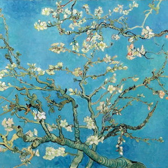 그림 이미지