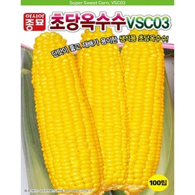 씨앗 이미지
