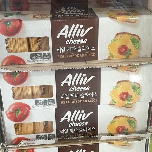 얼리브 이미지