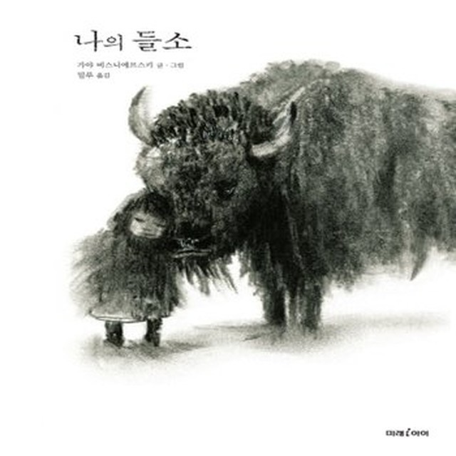 들소 이미지