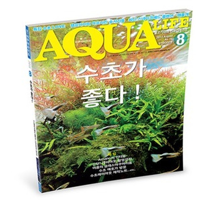 대광슈퍼 이미지