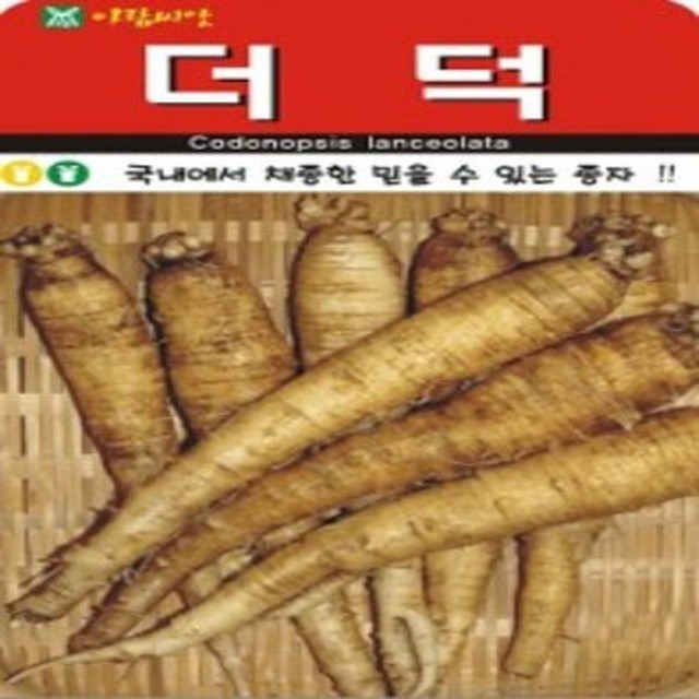 씨앗 이미지