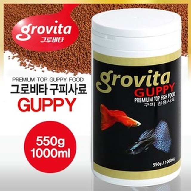 헬로구피 이미지