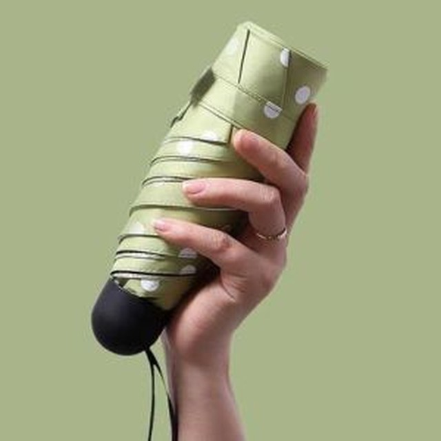 보니타 이미지