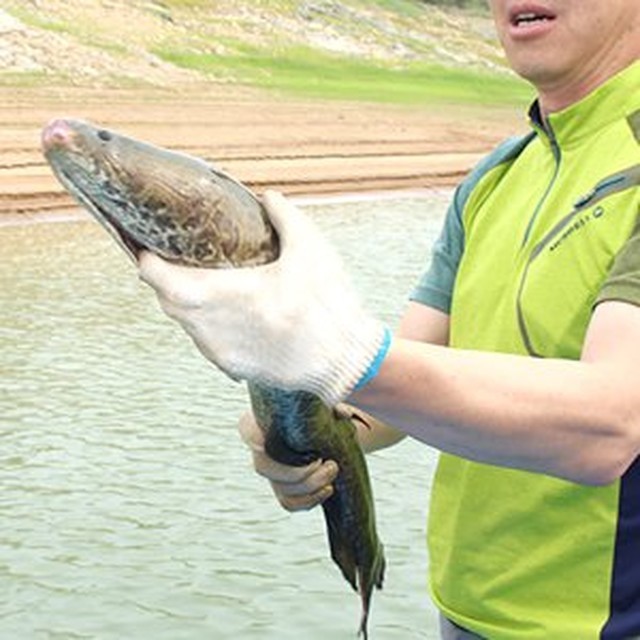 서제천영농조합 이미지