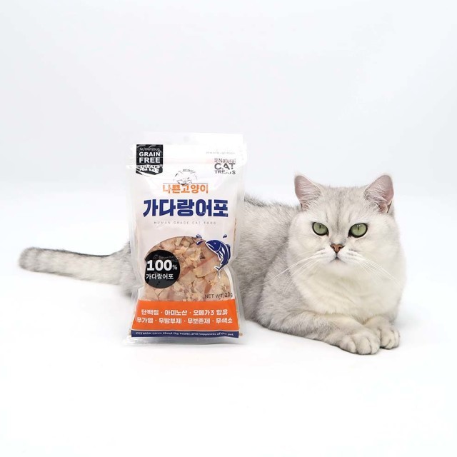 희동이네 이미지