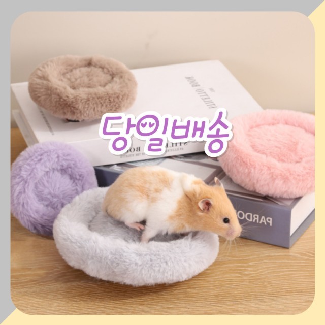 클라르떼 이미지