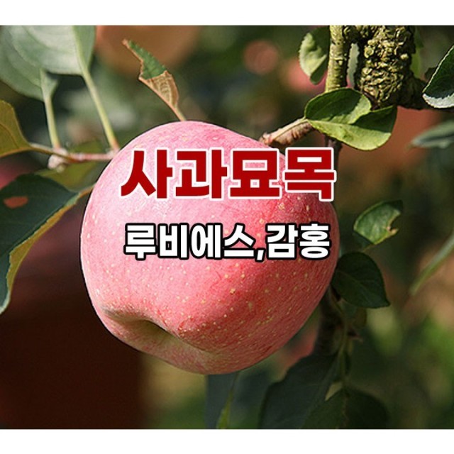 장원농원 이미지