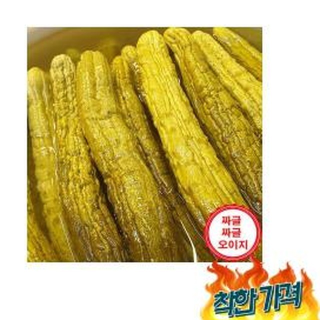 짜글짜글 이미지