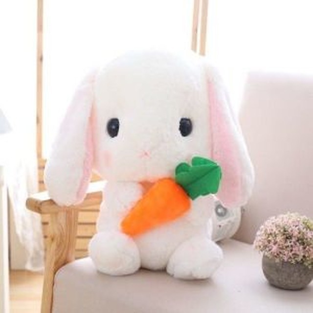 빅캐롯 이미지