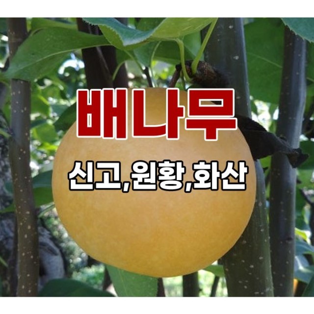 장원농원 이미지