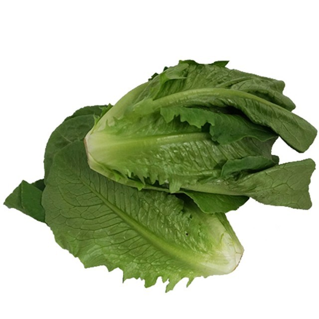 GreenFarm 이미지