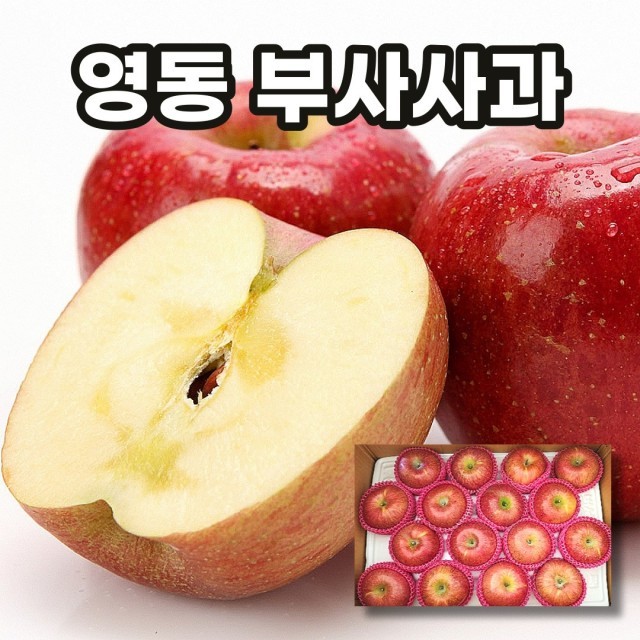 제이피지 이미지