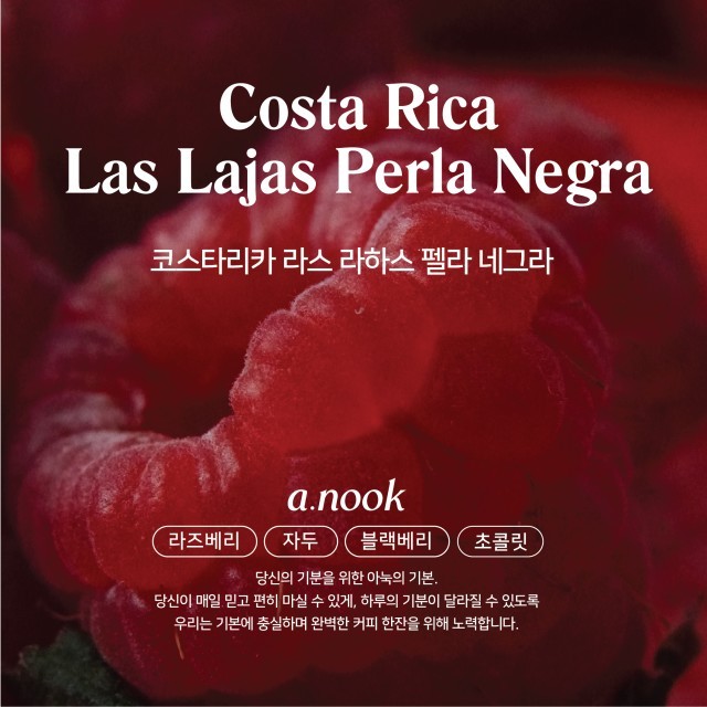 펠라네그라 이미지