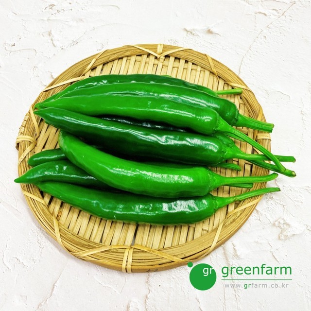 GreenFarm 이미지