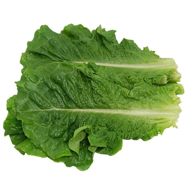 GreenFarm 이미지