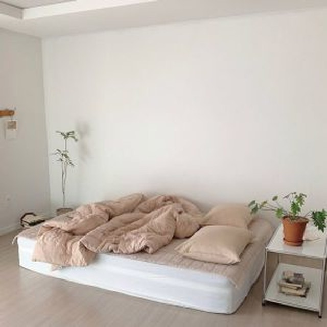 베이지멜로 이미지