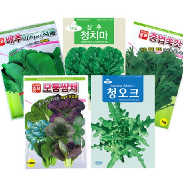 오크린 이미지