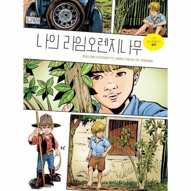 나무그래픽 이미지