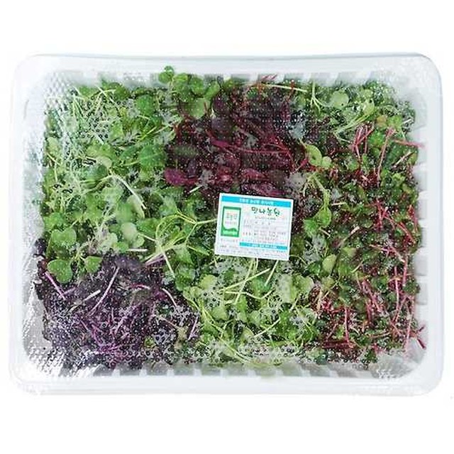 GreenFarm 이미지