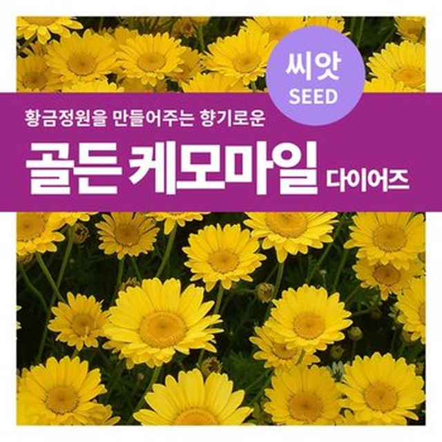 골든플랜트 이미지